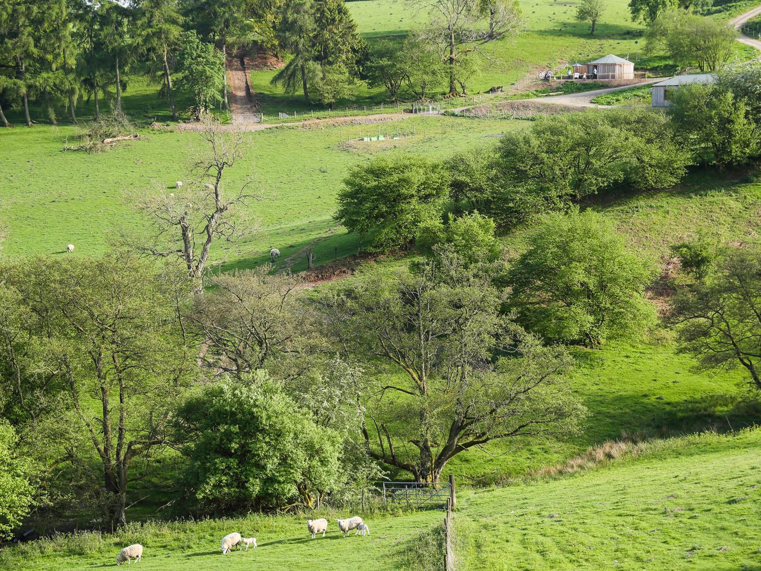 Rolling Hills Villa Newcastle  Bagian luar foto