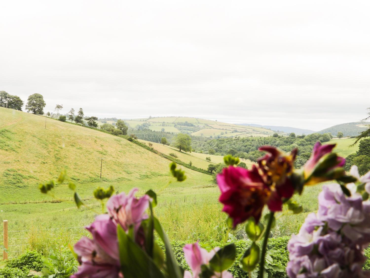 Rolling Hills Villa Newcastle  Bagian luar foto