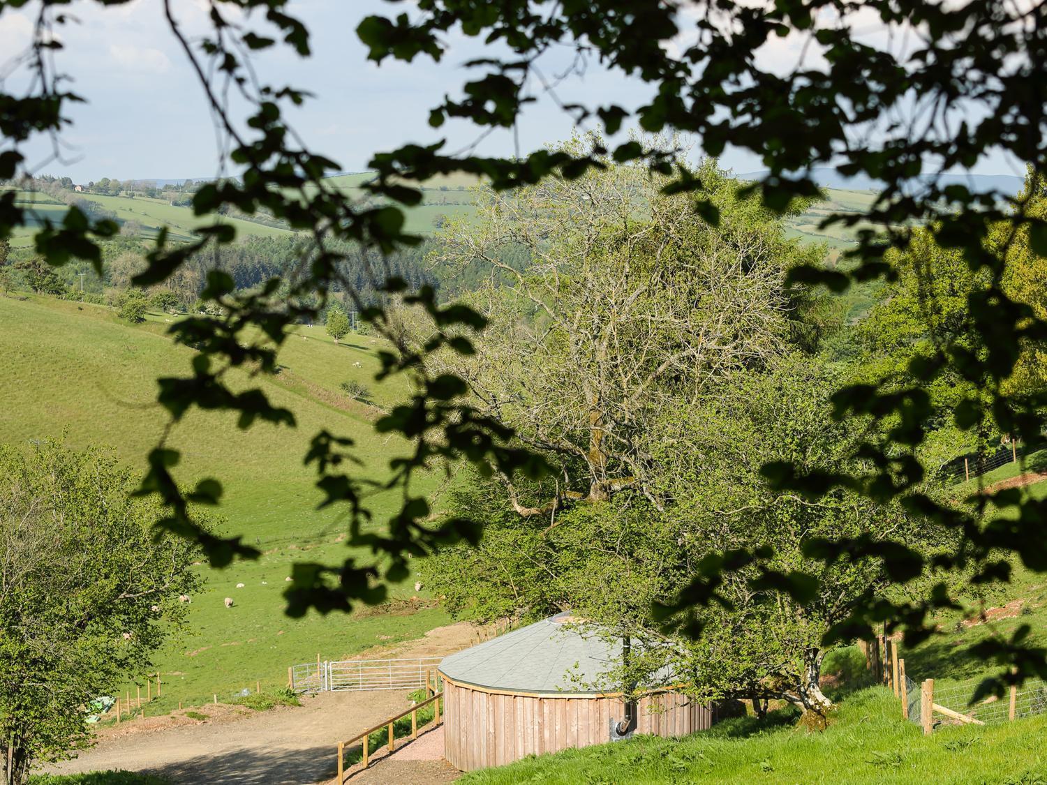 Rolling Hills Villa Newcastle  Bagian luar foto